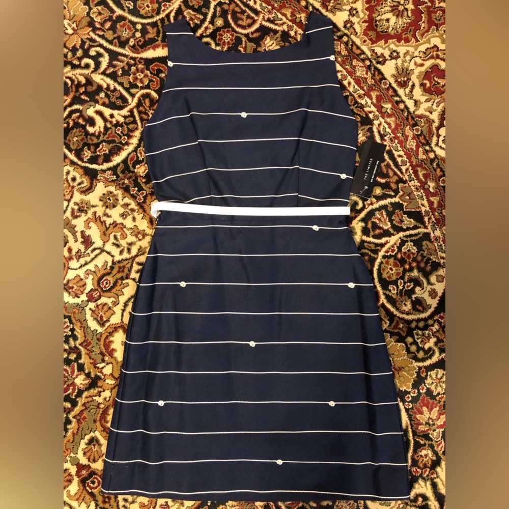 NWT The Limited Navy Striped Dress size 0